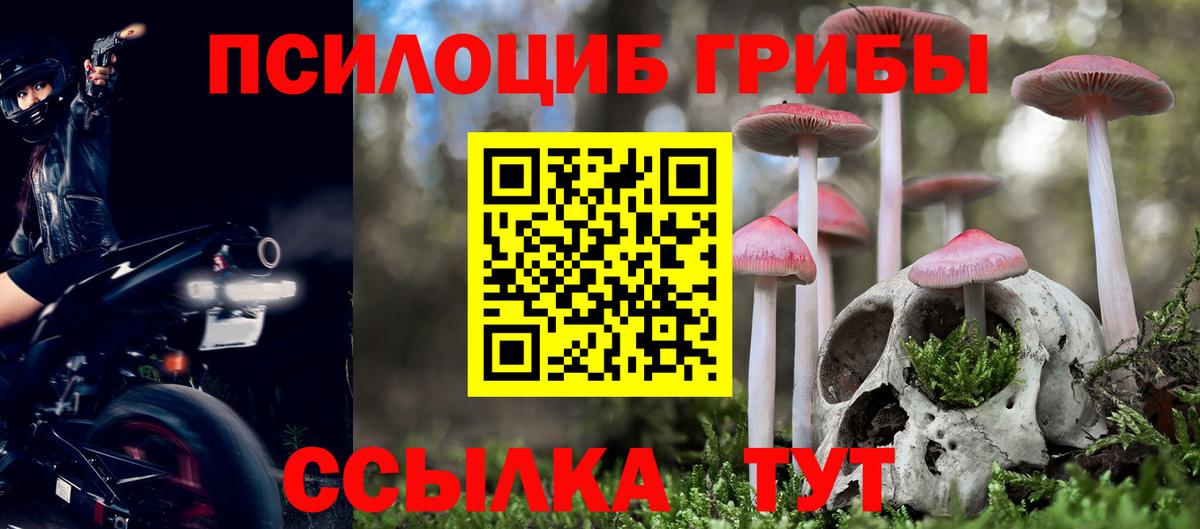Галлюциногенные грибы мицелий  Галлюциногенные грибы мухоморы  Вход с VPN  Курчалой 