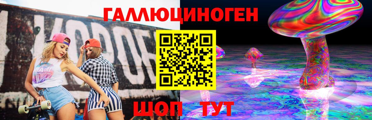 Псилоцибиновые грибы Cubensis Курчалой